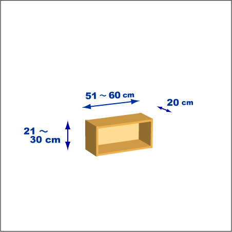 横幅51-60／高さ21-30／奥行20cmの棚ユニット