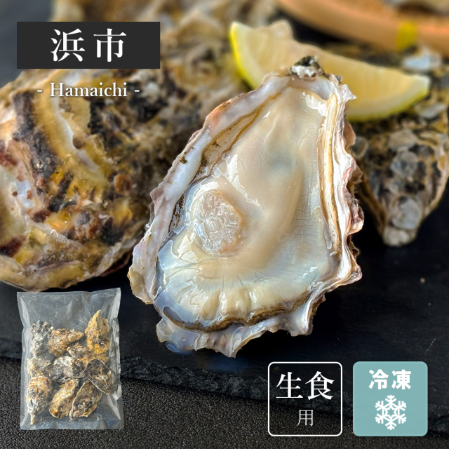 宮城県・浜市産殻付き牡蠣 10個入【冷凍・袋入】