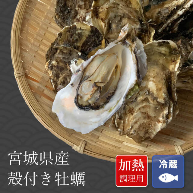 【送料無料】宮城県産殻付き牡蠣 ◆加熱用◆