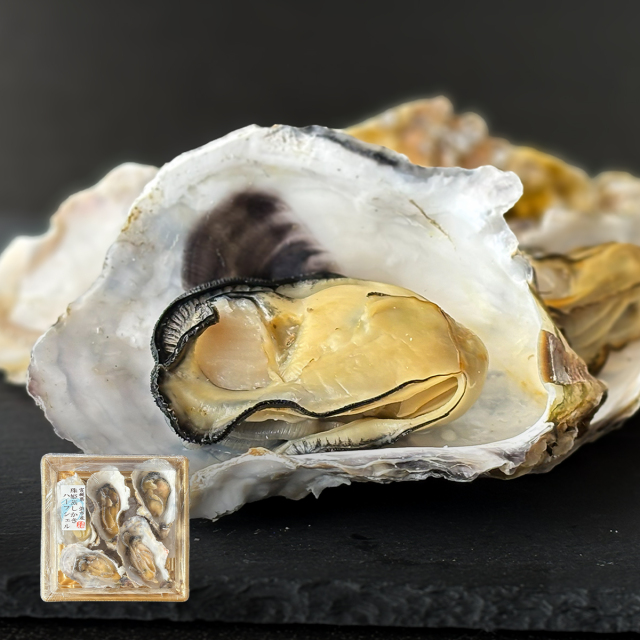 【在庫出し切り品】冷凍 蒸し牡蠣ハーフシェル 5個入【浜市産・珠姫サイズ】