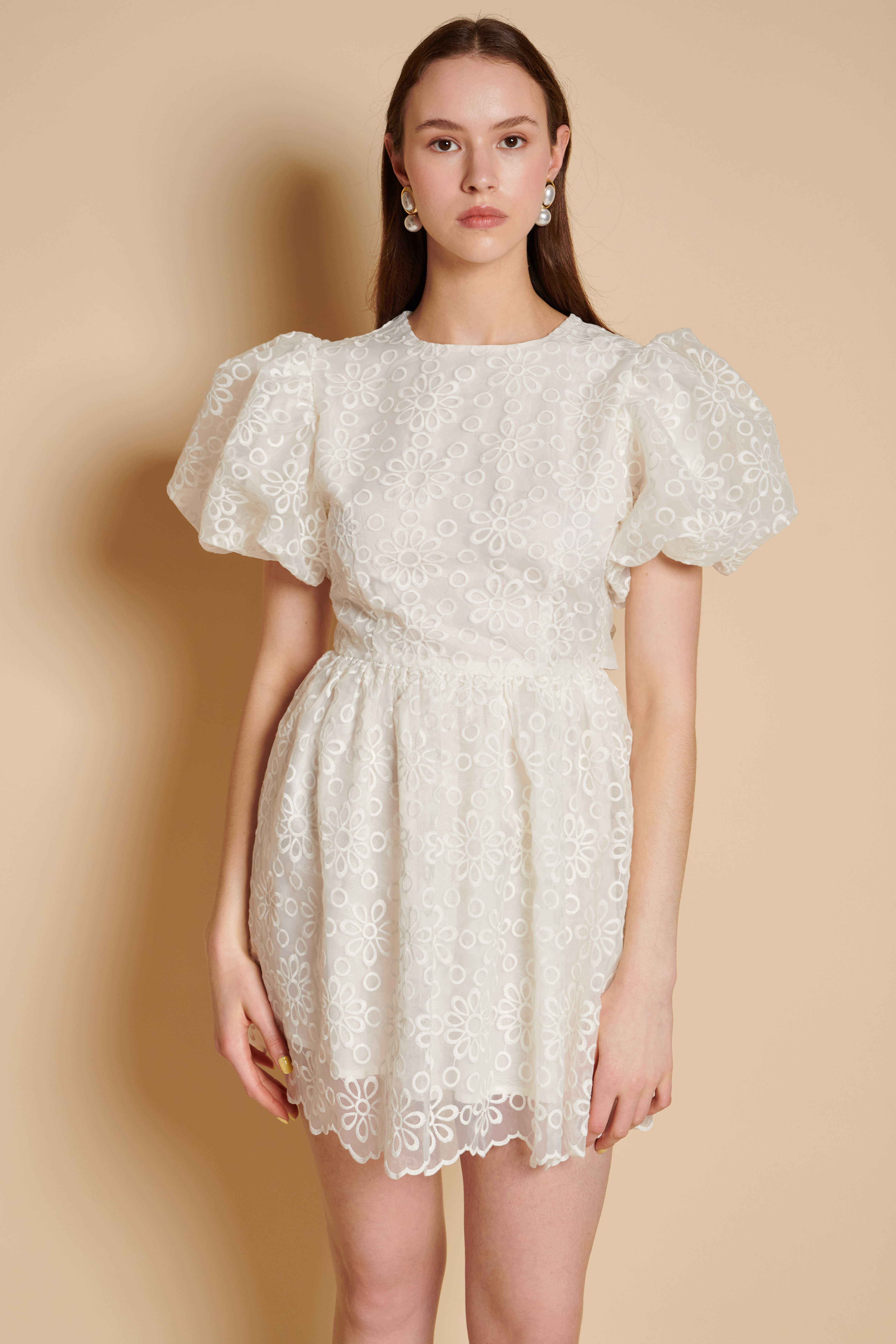 Winnie Embroidered Mini Dress
