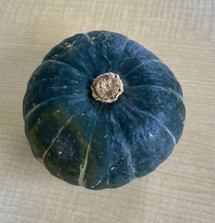 ボッチャンカボチャ