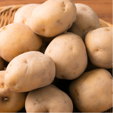 じゃがいも　キタアカリ5kg箱