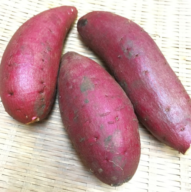 シルクスイート