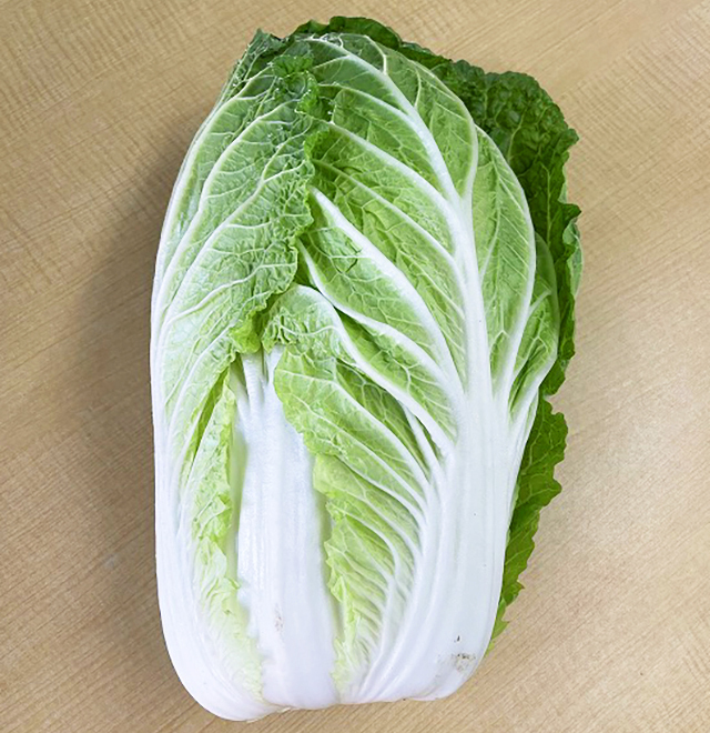 有機栽培白菜[千葉県芝山町産]