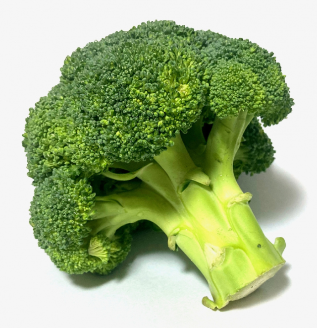 ブロッコリー