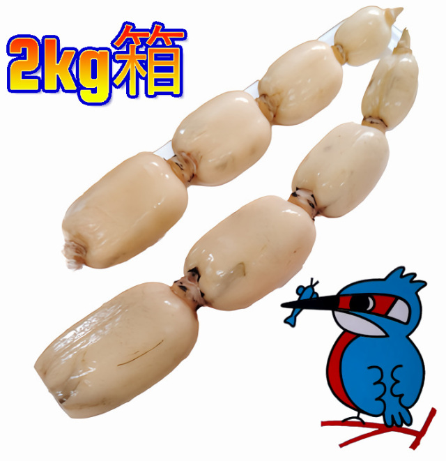 カワセミレンコン