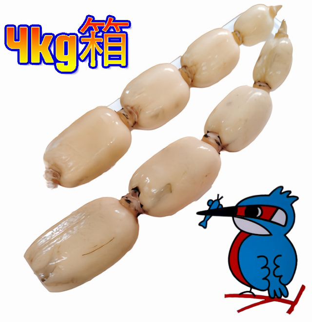 カワセミレンコン