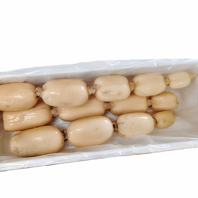 カワセミレンコン