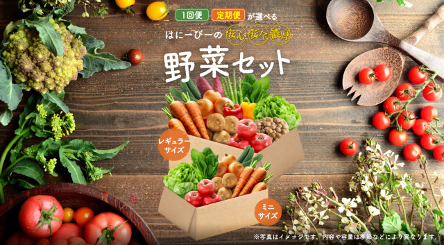 野菜セット
