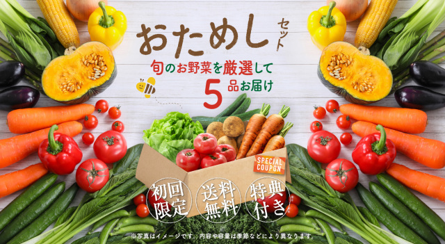 お試し