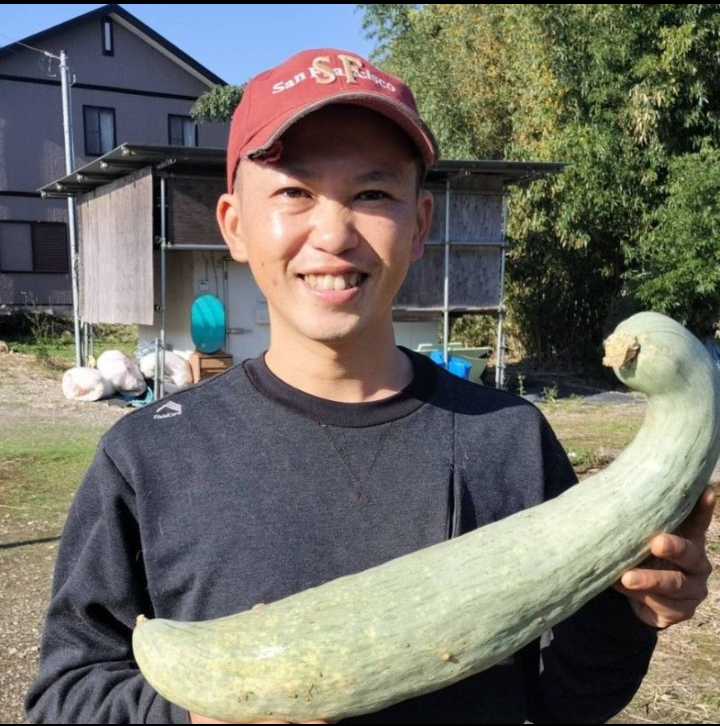 成田みかづきカボチャ1個[千葉県成田市産]