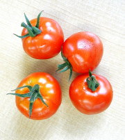 有機栽培中玉トマト200g[千葉県芝山町産]
