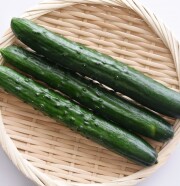 特別栽培きゅうり3本袋［千葉県旭市産］
