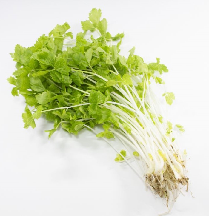 ホワイトセロリ