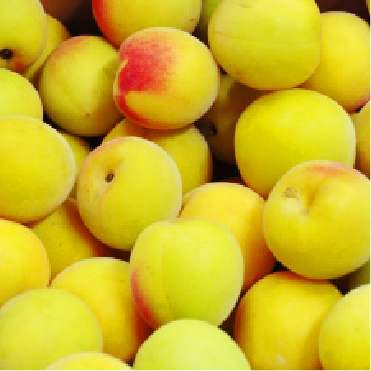 完熟梅・南高梅　完熟(1kg)　[特別栽培農産物]