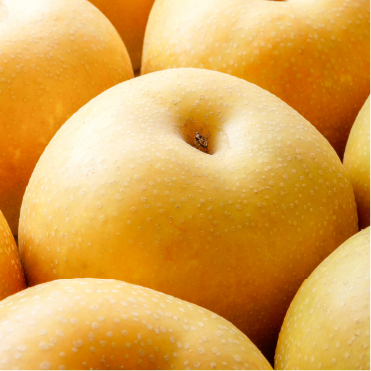 鈴木さんの新高梨３ｋｇ（４個から６個入）