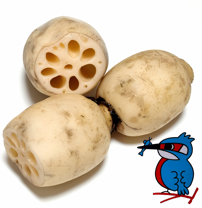 カワセミレンコン