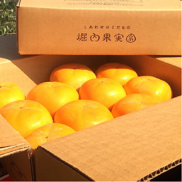 堀内果実園のたねなし柿　約２ｋｇ（約９玉）