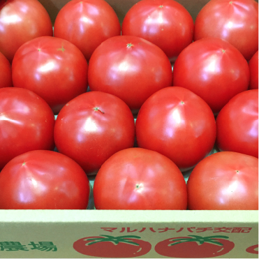 大玉トマト2kg箱入り