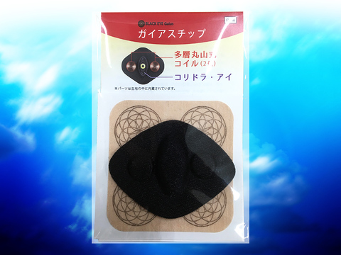 丸山　ガイアスチップ