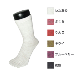 ソックス　彩