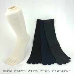 EMオールシーズン5本指ソックス