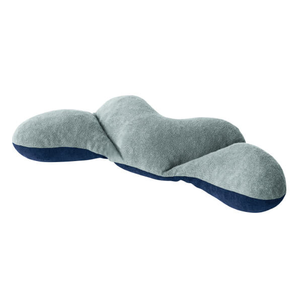 ピントフロート