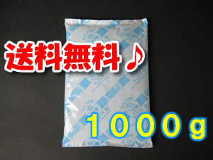 【１４個】（１ケース）【１０００ｇ】【本州・四国・九州・送料無料】　スタンダード　保冷剤　エコクール １０００ｇ　２００×３００ｍｍ　国産品　【※沖縄・北海道・販売不可】
