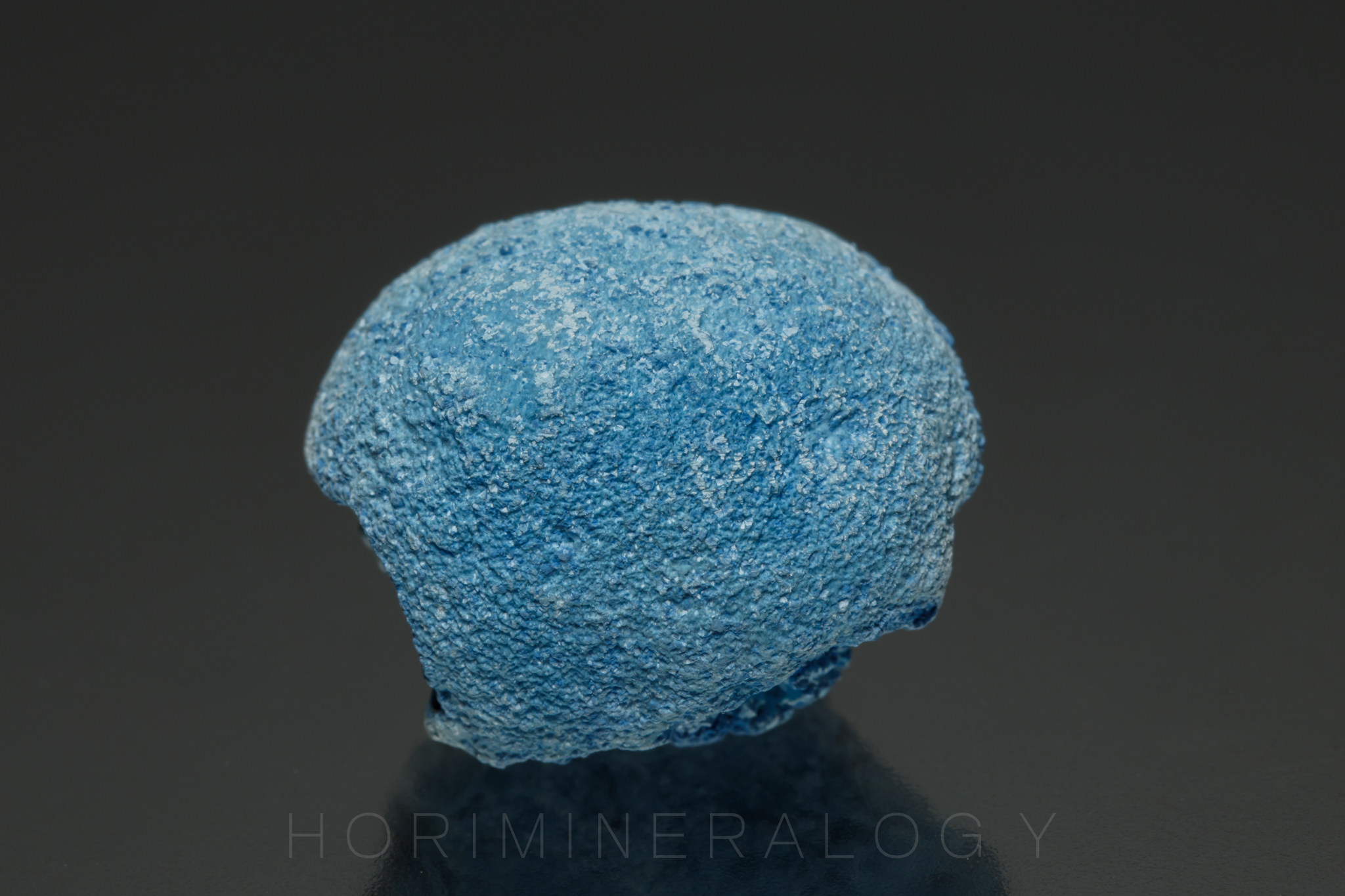 シャッターカイト