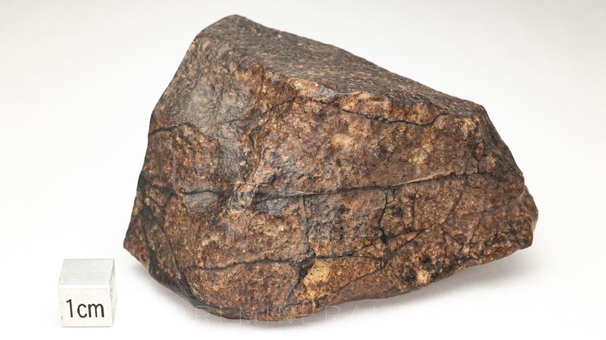 NWA7984 コンドライト L6