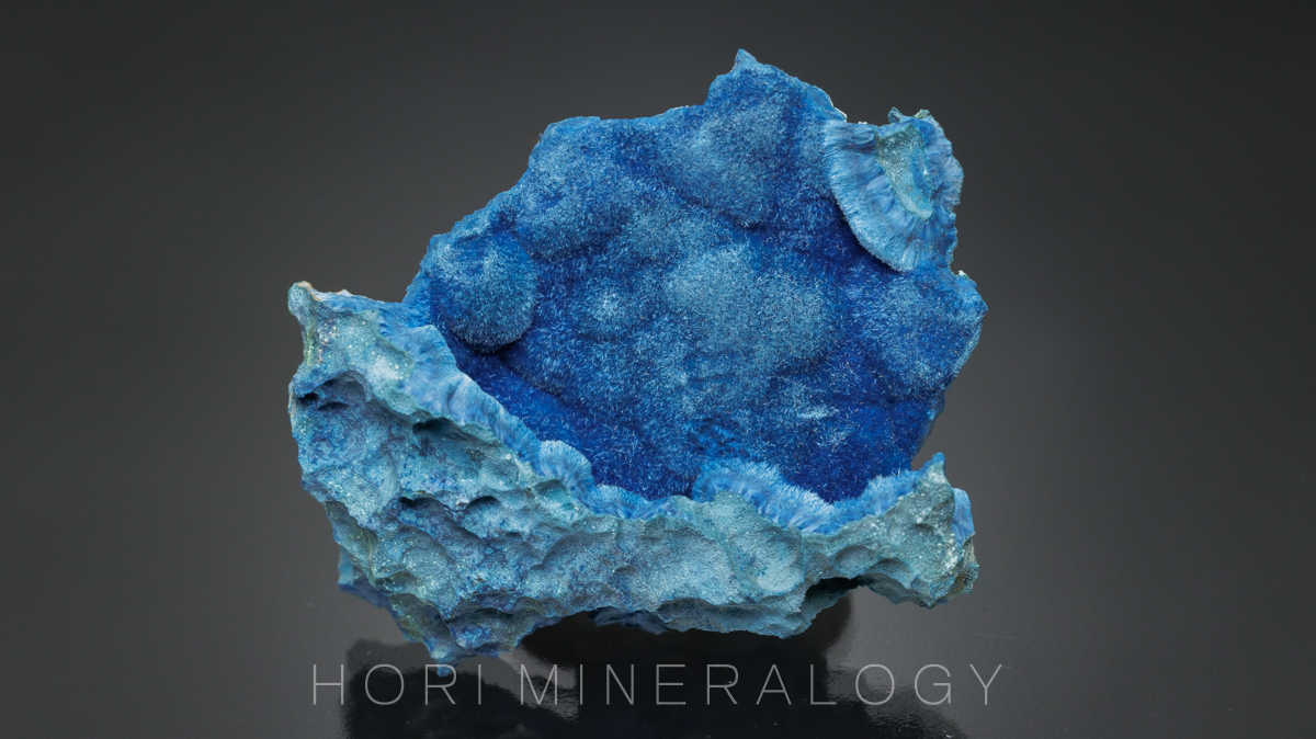 シャッターカイト