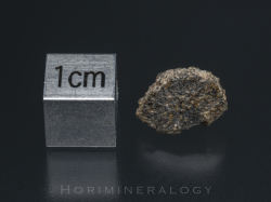 NWA2975 Martian Shergottite