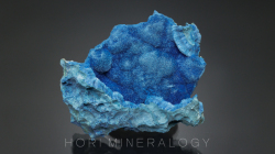 シャッターカイト