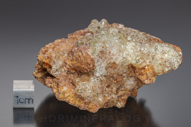 ✨ミルビリリー隕石 標本✨ 玉滴石 ホリミネラロジー ミネラルショップ 鉱物標本の専門店