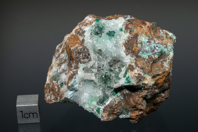 孔雀石 ホリミネラロジー ミネラルショップ 鉱物標本・隕石標本の専門店