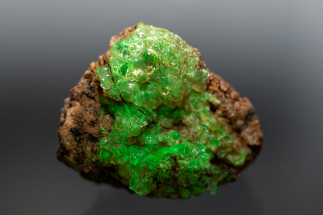 玉滴石 ホリミネラロジー ミネラルショップ 鉱物標本・隕石標本・宝石