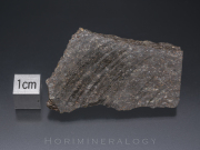 NWA4507 隕石 Ureilite