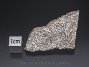 NWA5356 隕石 Eucrite