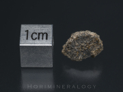 NWA2975 Martian Shergottite