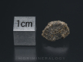 NWA2975 Martian Shergottite