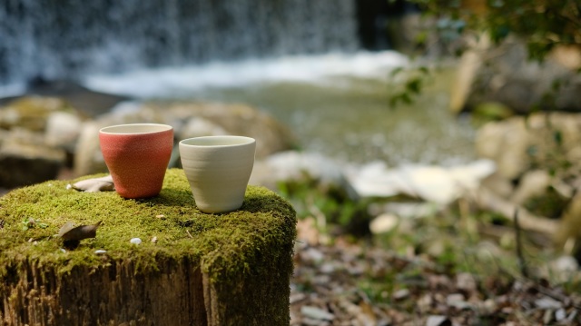 KERMA モンディアルカップSL 120cm