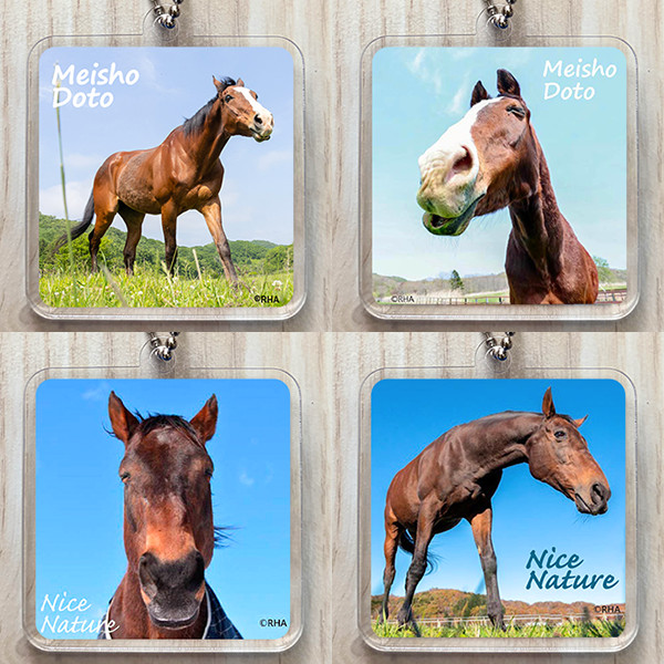 ＜引退馬協会＞アクリルキーホルダー