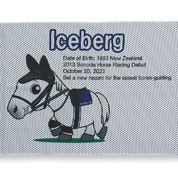 ＜そのたんSHOP＞アイスバーグ　クールタオル