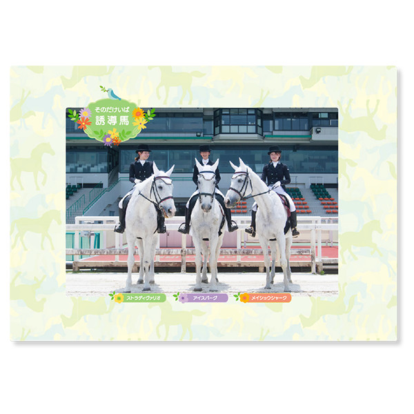 ＜差し入れ付き＞園田競馬　誘導馬クリアホルダー（ミニシール付）