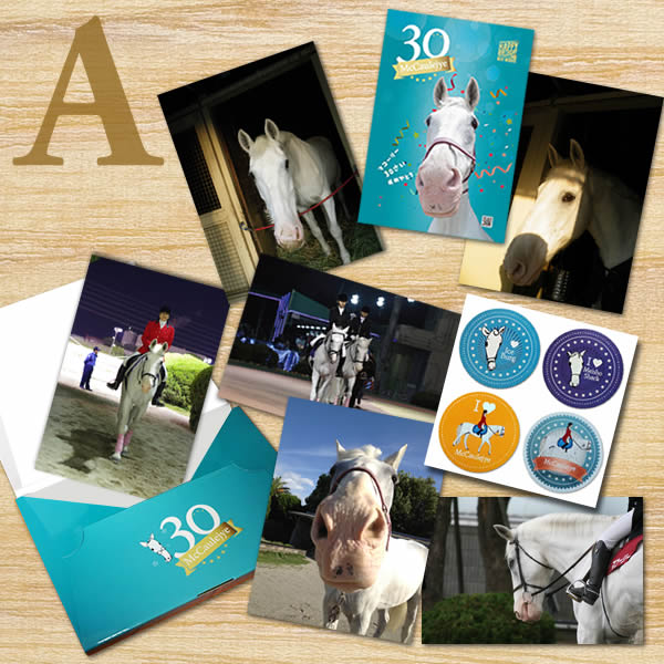 園田競馬の誘導馬 マコーリー ３０歳記念 ポストカードセット ステッカーセット