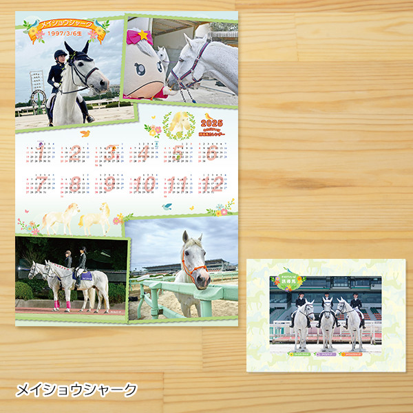 ＜メイショウシャーク＞園田競馬　誘導馬カレンダー２０２５【ネコポス送料当店負担商品】