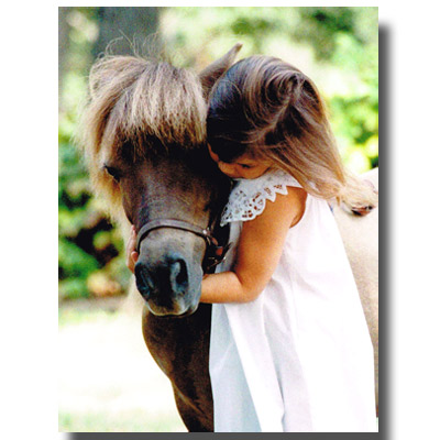 クリックポスト送料込】ホーストラスト／みさきちゃん クリスマス