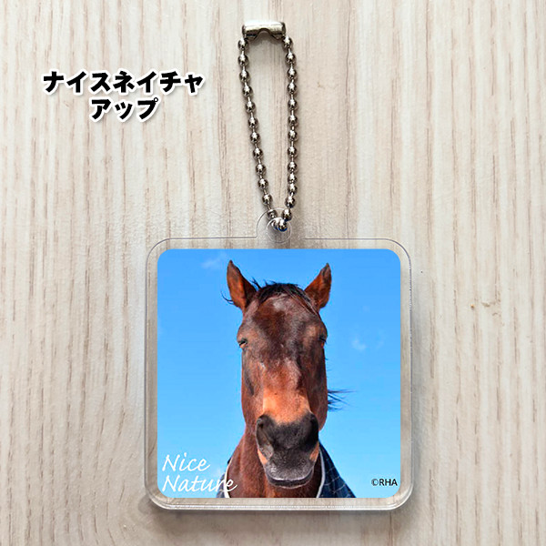 引退馬協会＞アクリルキーホルダー