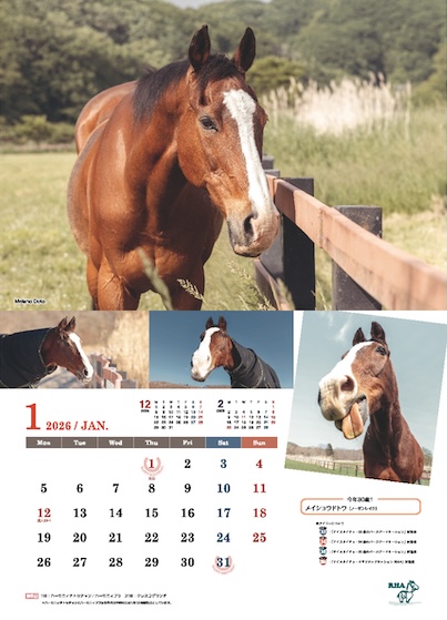 引退馬協会＞「フォスターホースカレンダー 2026」